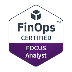 FinOps FOCUS Analyst